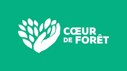 Mise en place de campagnes payantes