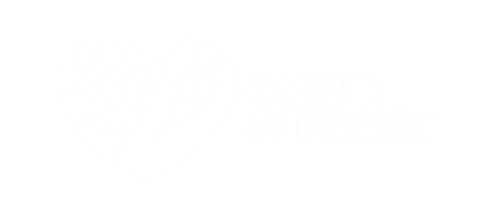 Logo Accompagnement et mise en place de campagnes payantes (SEA)